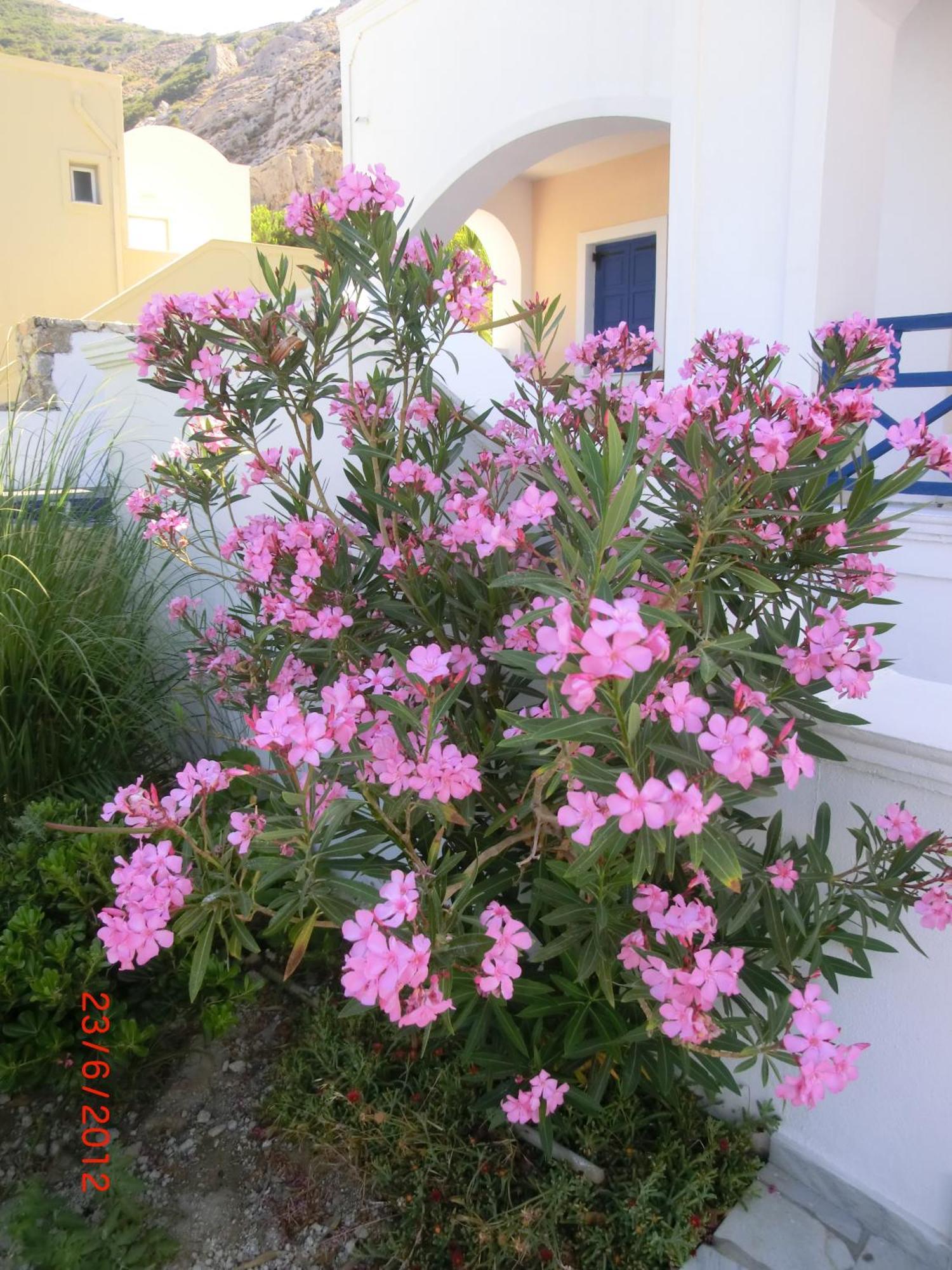 Aegean View Hotel Kamari  Luaran gambar
