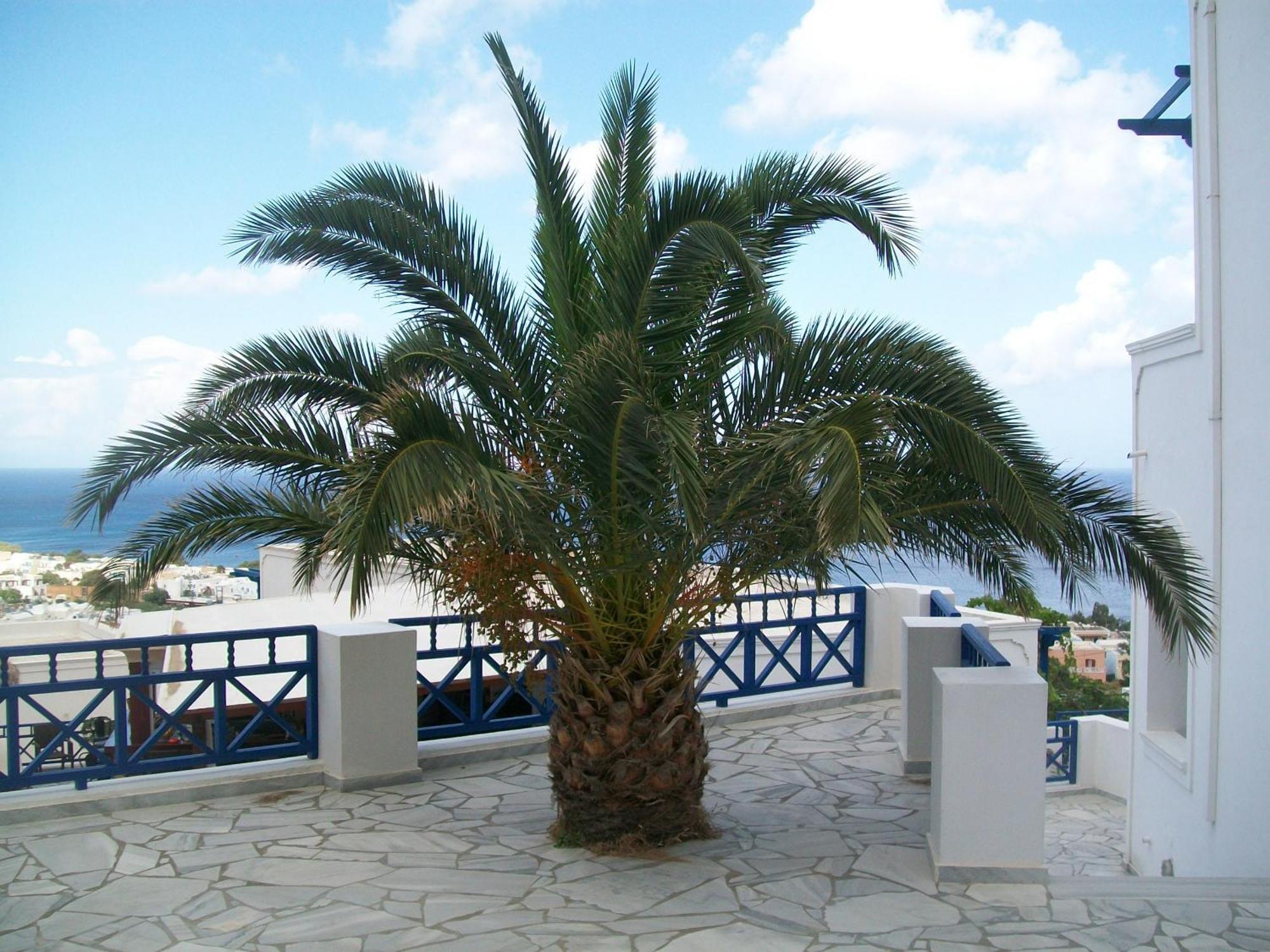 Aegean View Hotel Kamari  Luaran gambar